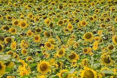 传《失落之魂》将再度延期 两个月前刚跳了票